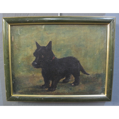 134 - British School (Early 20th century), a portrait of a black 'Scottie' dog, oils on canvas.  22x30cm a... 