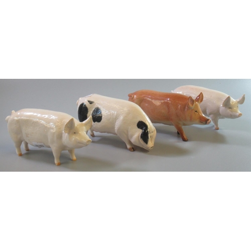 169 - Four Beswick ceramic studies of pigs, to include: 'Ch Wall Queen 40', 'CH Wall Boy 53' etc.  (4)  (B... 