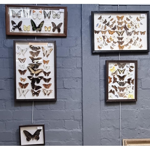 123 - Four groups of framed and mounded specimen butterflies together with another single.  (5)  (B.P. 21%... 