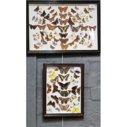 123 - Four groups of framed and mounded specimen butterflies together with another single.  (5)  (B.P. 21%... 