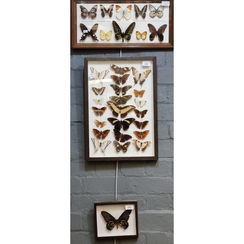 123 - Four groups of framed and mounded specimen butterflies together with another single.  (5)  (B.P. 21%... 