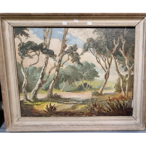 128 - H Jacob (?), landscape with birches, signed and dated 1949, oils on board.  50x63cm approx.  Framed.... 