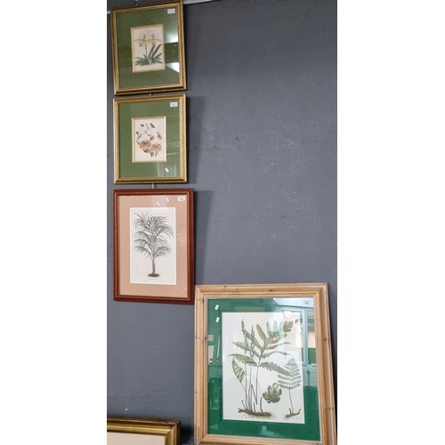 135 - Mixed group of four coloured botanical prints in various frames.  (4)   (B.P. 21% + VAT)