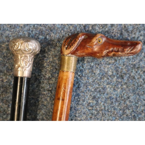 179A - Silver topped ebonised walking cane and another walking cane with carved wooden dog's head handle, h... 