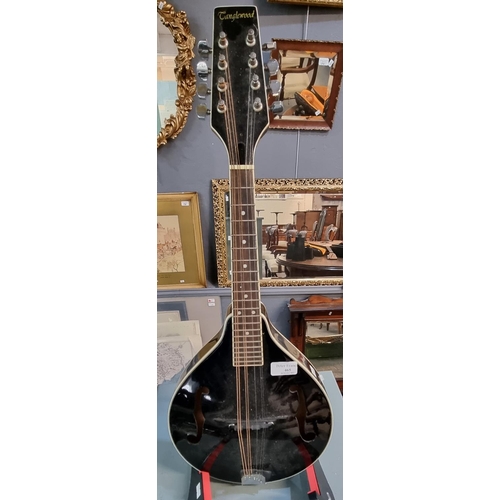 465 - A Tanglewood seven string mandolin.  (B.P. 21% + VAT)