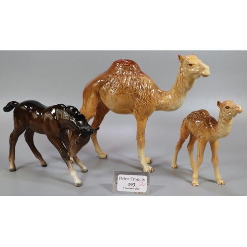 193 - Two Beswick camels and a Beswick foal.  (3)  (B.P. 21% + VAT)