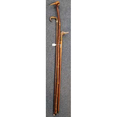 199 - Three rustic walking sticks, two with duck terminals, one with horn handle and silver mount.  (3)  (... 