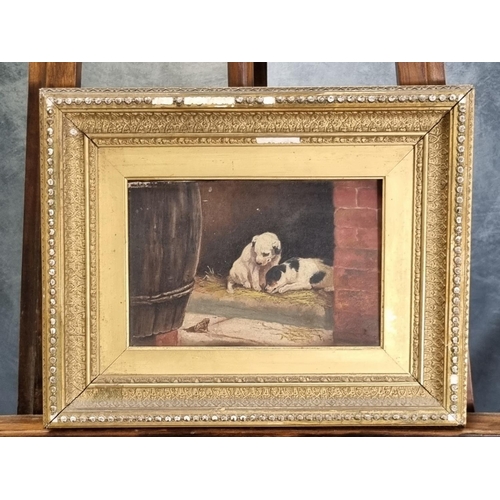 148 - British school (19th century), puppies on a step with frog, oils on canvas.  17x23cm approx.  Framed... 