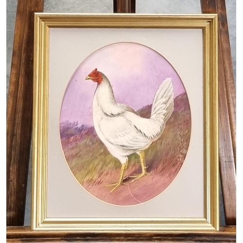 156 - Derby porcelain hand painted plaque depicting a white bantam cockerel, signed J.E Dean. 28 x 22cm ap... 