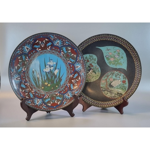 216 - Two similar Japanese Cloisonné dishes/plaques, one decorated with iris and other stylised foliate de... 