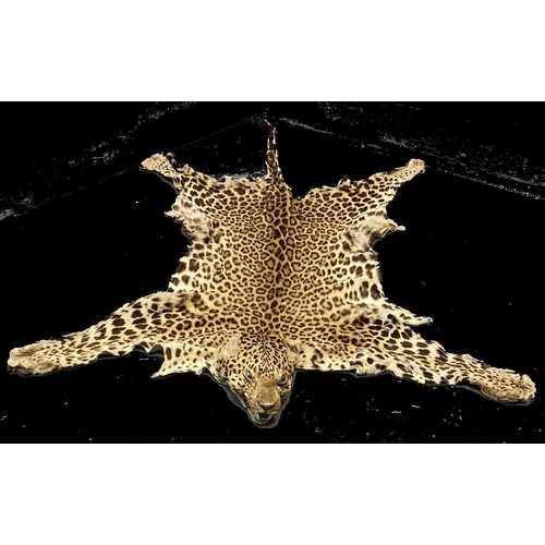 61 - Taxidermy - early 20th Century leopard skin rug with fully mounted head, approx 200cm long.
(B.P. 21... 