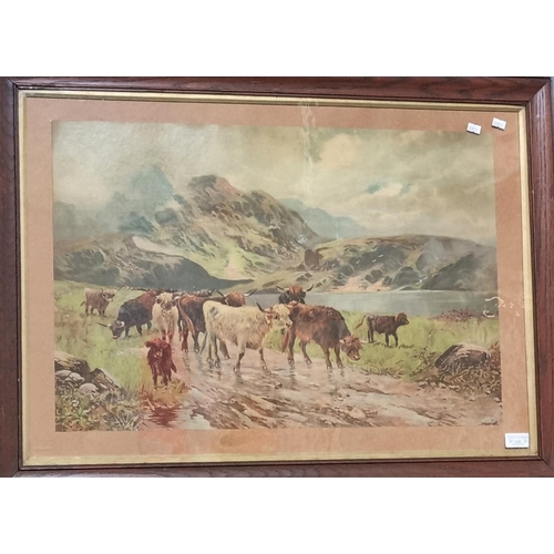 129 - Large framed oleograph print of Highland cattle in a loch side glen. 48 x 69cm approx. Glazed oak fr... 