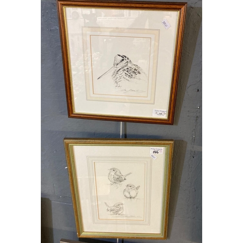 146 - Ian Bowles, Bird studies,two , woodcock and young wrens, signed, pencil sketches. 16 x 15cm and 22 x... 