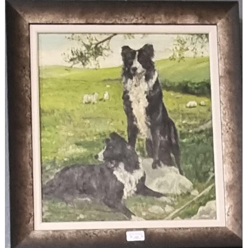 165 - A.Y Bowler, two Welsh Collies in a landscape, signed, oils on board. 48 x 41cm approx. Framed. 
(B.P... 