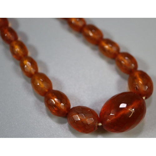 380 - Graduated string of Copal amber beads. 
(B.P. 21% + VAT)