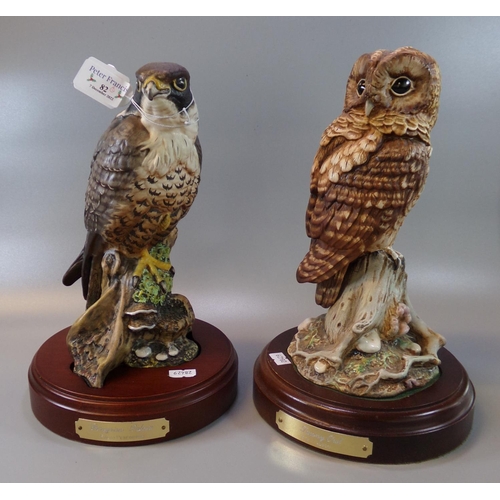 82 - Royal Doulton HN3541 'Peregrine Falcon' on wooden base. Together with a Royal Doulton DA156 'Tawny O... 