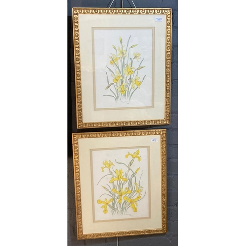 122 - After Gay Corran, pair of limited edition coloured prints, botanical studies, daffodils and yellow f... 