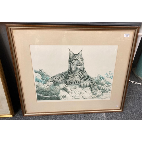 139 - After Eric Tenney, study of a Lynx, signed by the artist in pencil.  Monochrome print with publisher... 