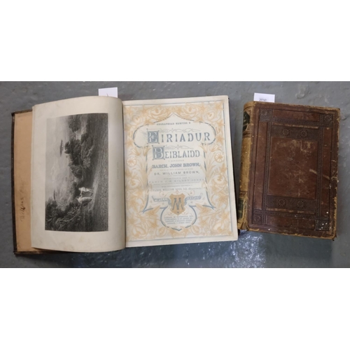 481 - Two Welsh language leather bound hardback antiquarian books; one an illustrated John Bunyan 1875 and... 