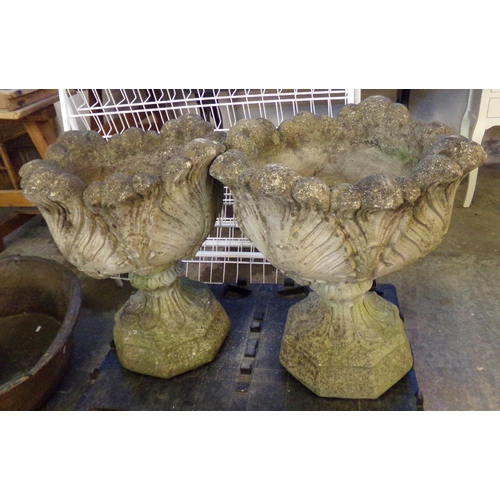 609 - Pair of weathered reconstituted stone shell design pedestal jardinières.  59cm high approx.  (B.P. 2... 