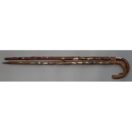 203 - Two Alpenstock/walking sticks with metal places of interest badges, various.  (2)   (B.P. 21% + VAT)