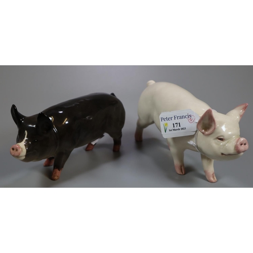 171 - Two Beswick pigs/boars; one dark grey marked 74C. (2)
(B.P. 21% + VAT)