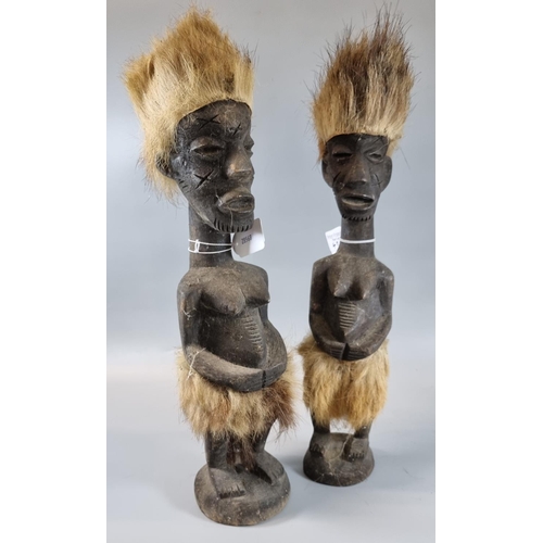 43 - Pair of African carved wooden female figures with natural fur headdresses and skirts. 38cm high appr... 