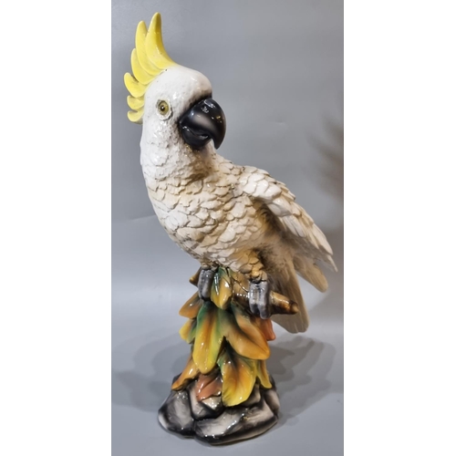 154 - Mid century ceramic probably continental study of a yellow crested Cockatoo perched on a branch amon... 