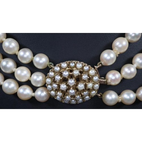 325 - Triple row of cultured pearls with 9ct gold pearl set clasp.  Length 16 inches.
(B.P. 21% + VAT)