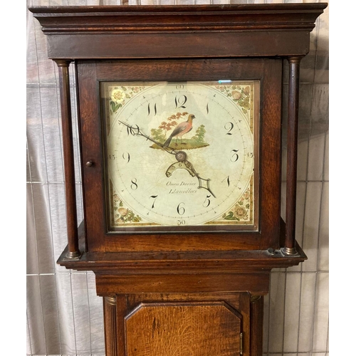 62 - Late 18th century Welsh oak thirty hour Cottage long case clock, having flat hood above square apert... 