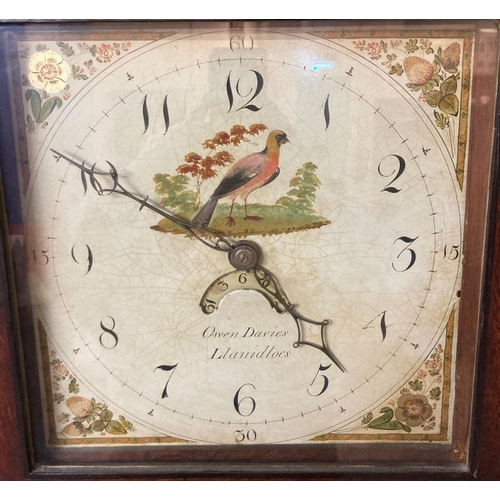 62 - Late 18th century Welsh oak thirty hour Cottage long case clock, having flat hood above square apert... 