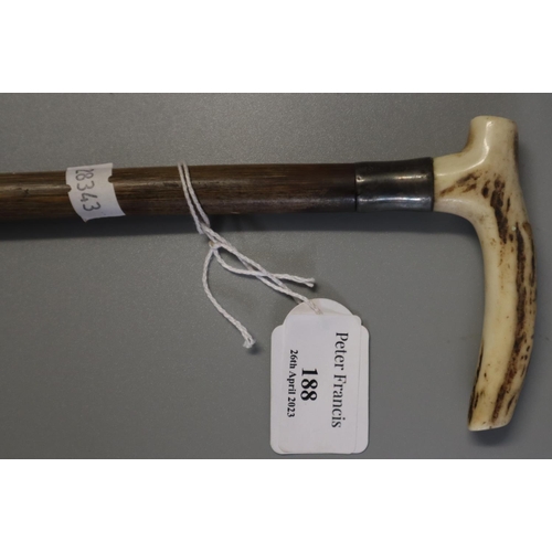 188 - Malacca walking cane with horn handle.  (B.P. 21% + VAT)