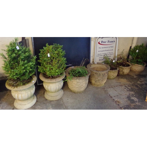 503 - A collection of garden baluster and urn shaped fluted planters, mostly containing plants. (7)(B.P. 2... 