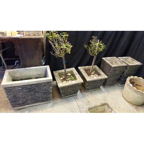 505 - Collection of five slate design planters including two pairs, two with rose trees. (5)
(B.P. 21% + V... 