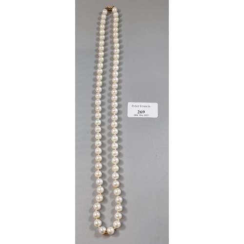 269 - String of well matched cultured pearls with pierced gilt metal filigree clasp.   (B.P. 21% + VAT)