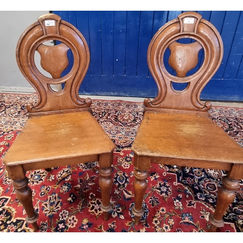 591 - Pair of Victorian oak hall chairs.  (2)  (B.P. 21% + VAT)