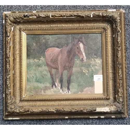 135 - British School (19th century), study of a bay mare, unsigned.  Oils on canvas.  23x27cm approx. Fram... 