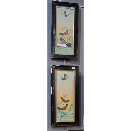 168 - Obadiah Hodges (Welsh 19/20th century), ornithological studies, signed, a pair.  Gouache on board.  ... 