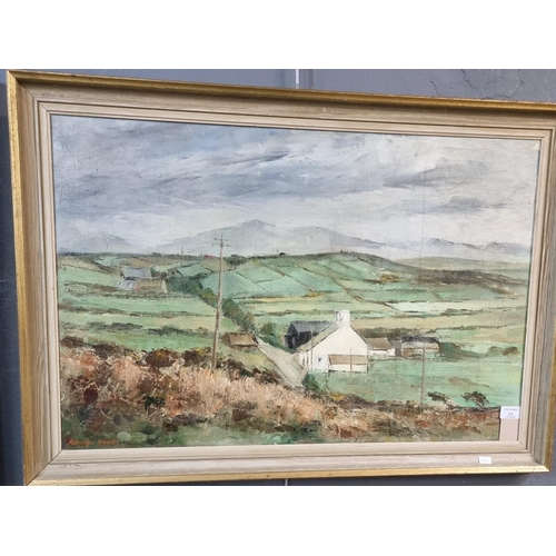 171 - Alwynne Bowen (Welsh 20th century), 'The little fields of Lleyn from Braich-y-Pwll', Welsh landscape... 