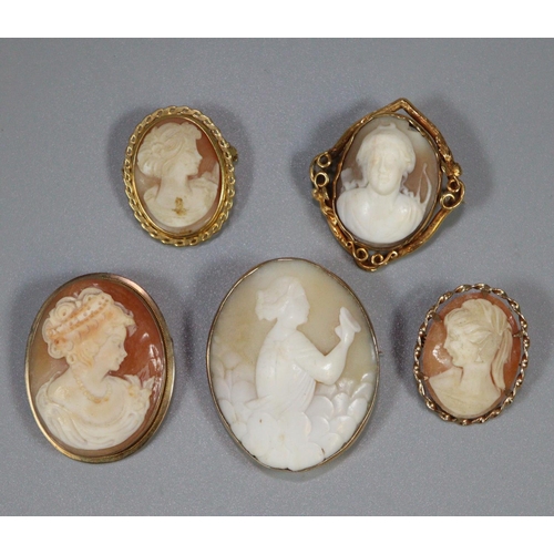 301 - Collection of five gold cameo brooches.  (5)  (B.P. 21% + VAT)