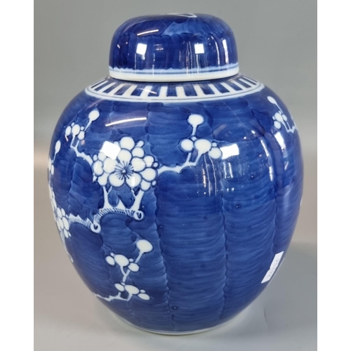 64 - A late Qing/20th Century Chinese blue and white prunus on cracked ice ginger jar and cover. Double c... 