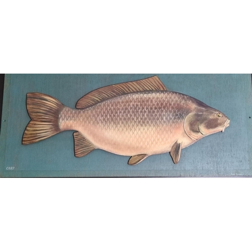 118 - Perter Burden (contemporary, born 1948), 'Carp', a naturalistic painted relief mounted on board.  Si... 