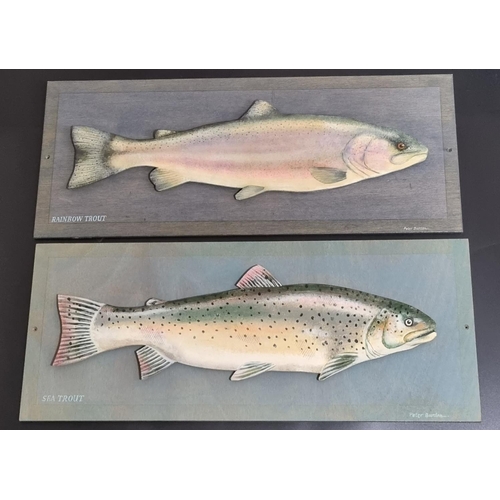 119 - Peter Burden (Contemporary, born 1948), study of a sea trout and a rainbow trout, naturalistically p... 