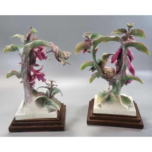 148 - Pair of Royal Worcester ruby throated humming bird figurines on composition Art Deco style stepped b... 