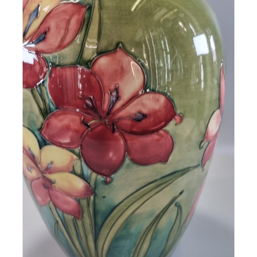 156 - Mid century Moorcroft pottery tube lined 'African Lily' vase on a green ground, of baluster form, im... 