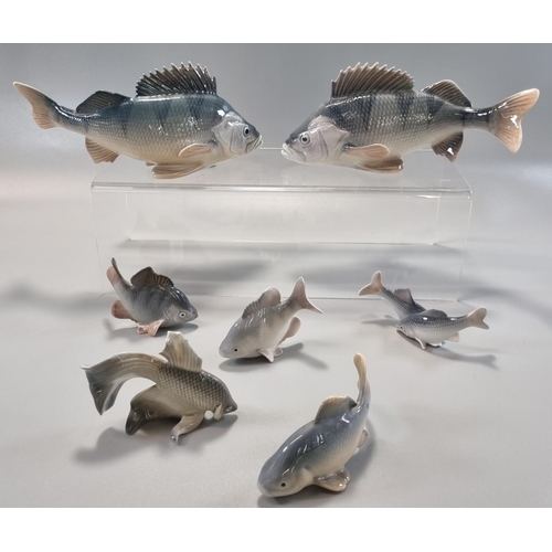 161 - Two Royal Copenhagen Danish porcelain models of large a Perch No. 1138, together with a collection o... 