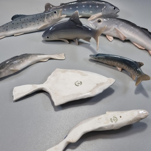 162 - Collection of Royal Copenhagen porcelain models of fish, to include: Plaice 282, Trout 369 and 1803,... 