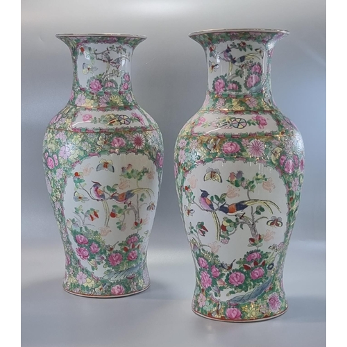 168 - Pair of large Chinese Canton style Famille Rose baluster vases decorated with panels of birds, butte... 