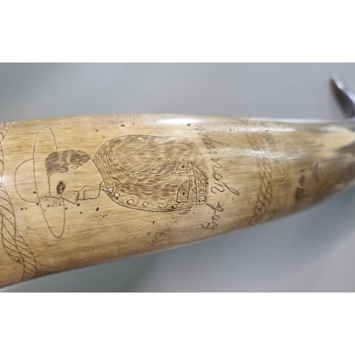 203 - A most interesting 19th century American large Texas steer horn flask, overall scrimshaw decorated w... 