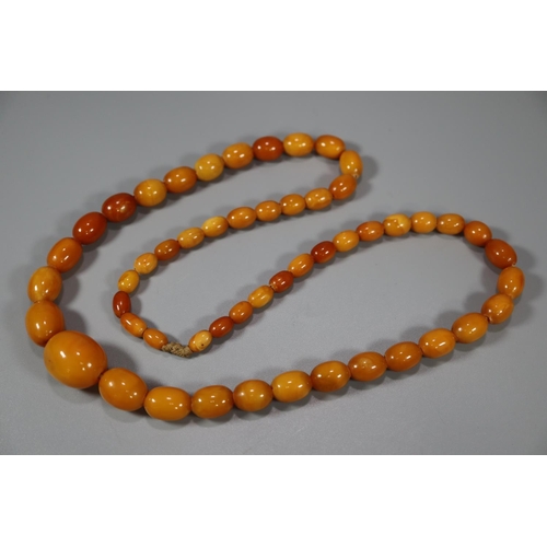 275 - Amber Butterscotch necklace.  59g approx.  The largest bead  2.5cm long approx.  (B.P. 21% + VAT)